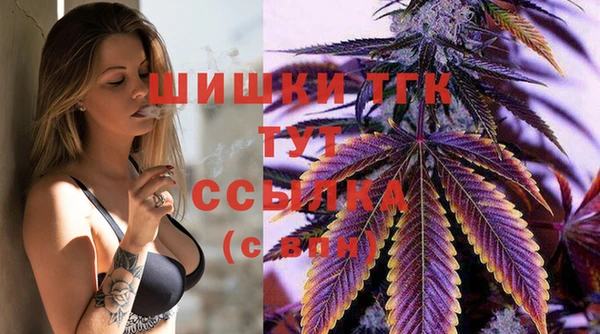 гидропоника Бугульма