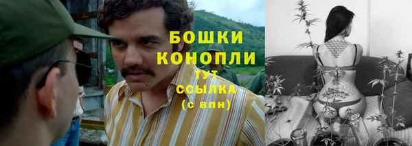 бутират Бородино