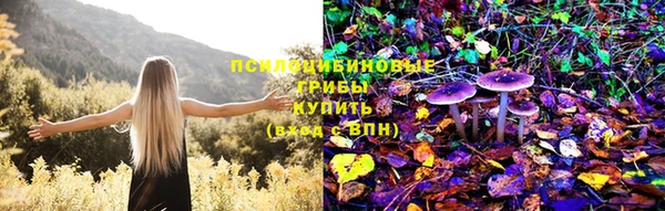 mdpv Бронницы