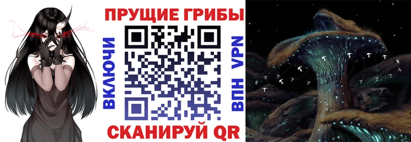 Псилоцибиновые грибы мухоморы  закладка  Шебекино 